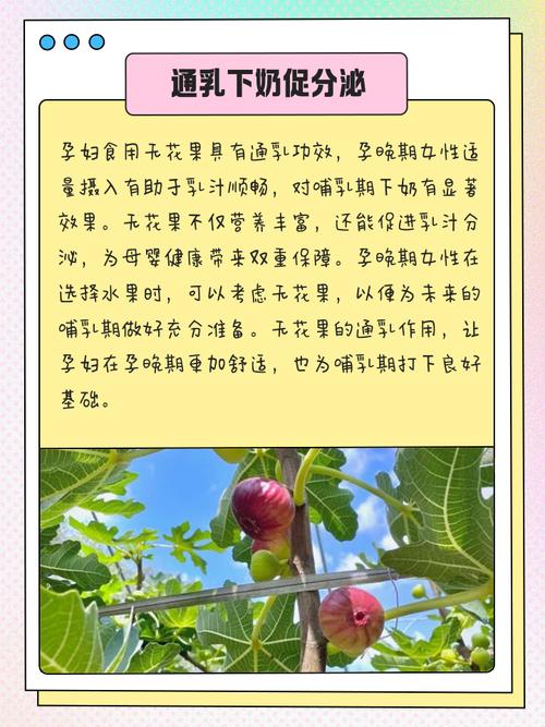 怀孕期间吃无花果到底安不安全？会对胎儿或孕妇身体有影响吗？-第1张图片-郑州医学网