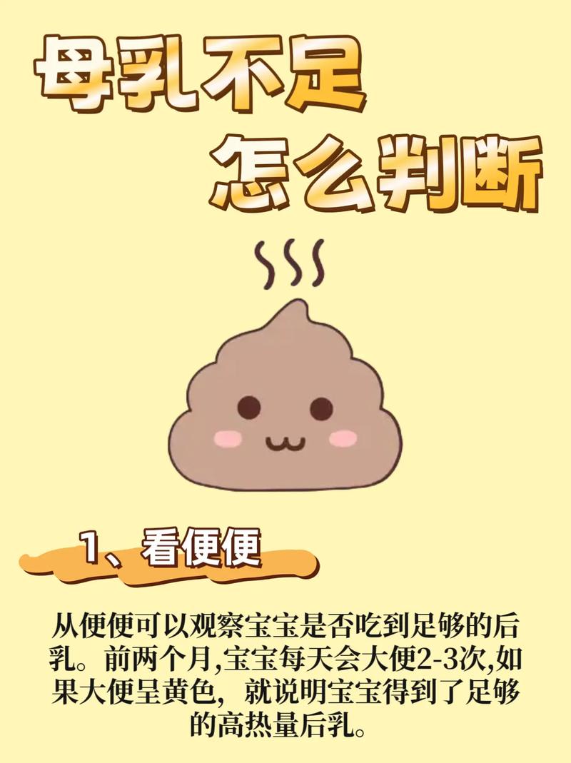 新生儿一下午没有大便-第3张图片-郑州医学网