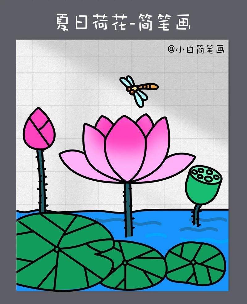 儿童简笔画荷花怎么画？步骤与技巧详解，零基础也能轻松学会吗？-第1张图片-郑州医学网
