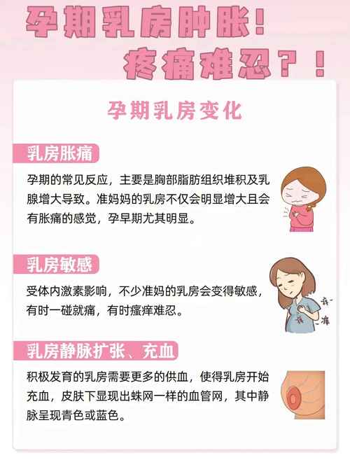 怀孕期间乳房胀痛是正常现象吗？该如何缓解这种不适？-第2张图片-郑州医学网