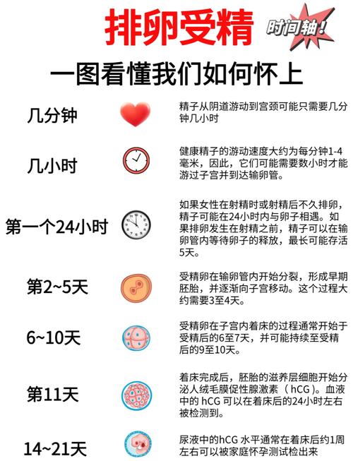 怀孕期间做DNA检测有哪些注意事项和流程？-第3张图片-郑州医学网