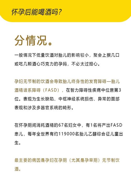 备孕期间女性能喝酒吗-第1张图片-郑州医学网 备孕期间女性能喝酒吗-第1张图片-郑州医学网