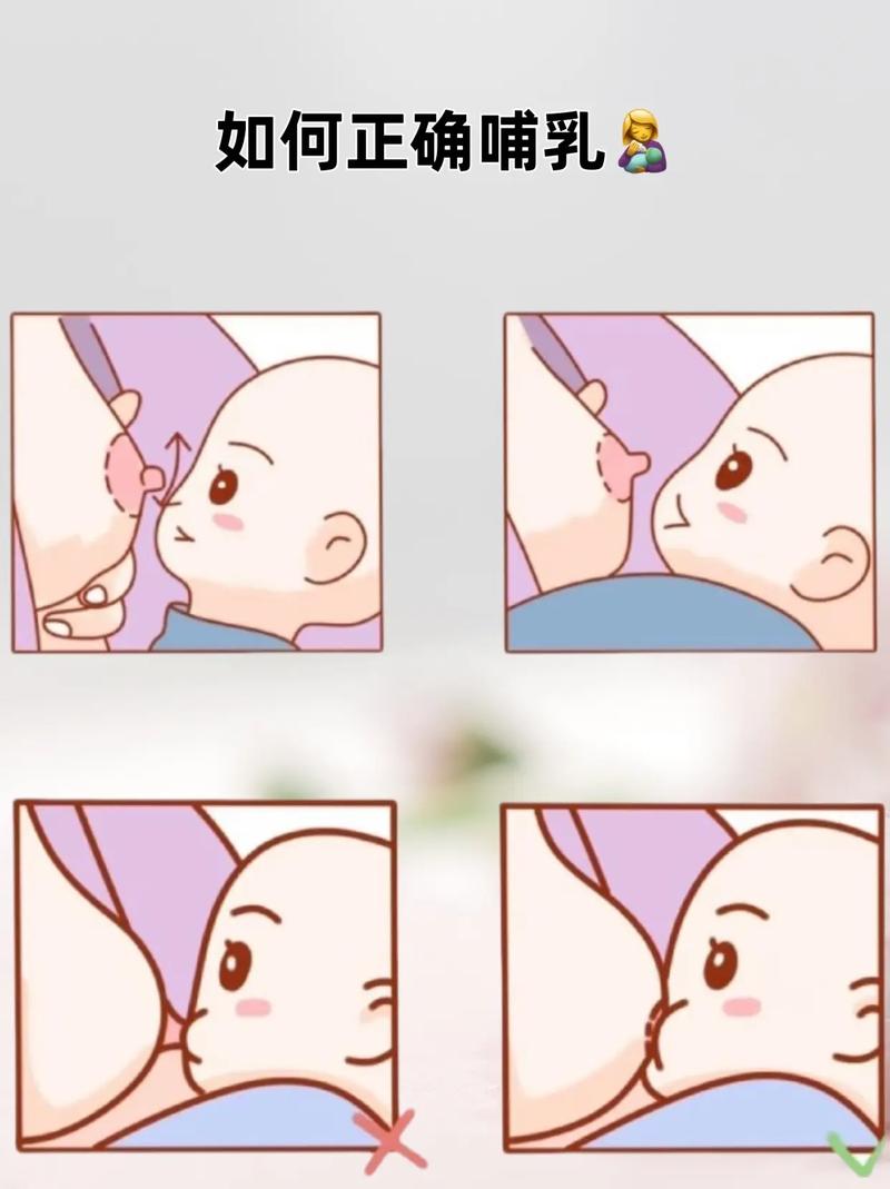 孕期和哺乳期怎么丰胸-第2张图片-郑州医学网