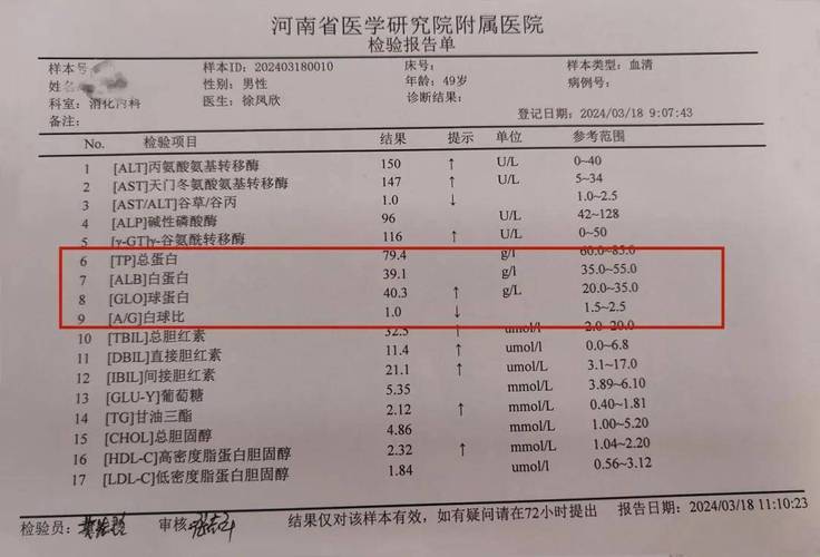 孕期肝功能总蛋白偏低-第1张图片-郑州医学网
