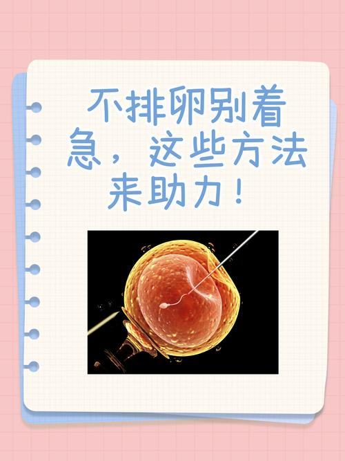 易孕期不排卵怎么回事-第2张图片-郑州医学网