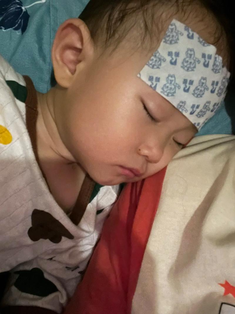 儿童高烧退后为何反复低烧?是正常恢复还是身体发出的健康警报?-第2张图片-郑州医学网 儿童高烧退后为何反复低烧?是正常恢复还是身体发出的健康警报?-第2张图片-郑州医学网