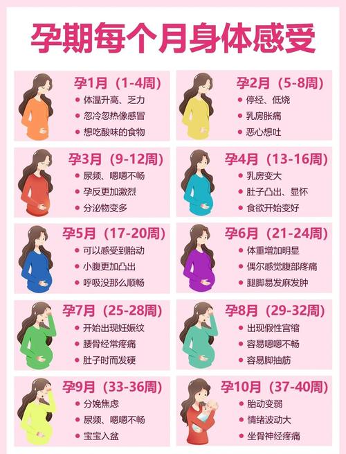 怀孕期间女性身体会发生哪些奇妙又复杂的变化？-第1张图片-郑州医学网