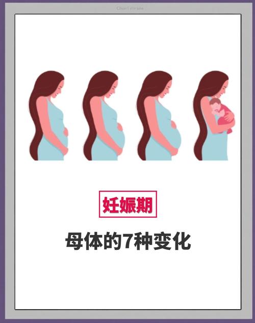 怀孕期间女性身体会发生哪些奇妙又复杂的变化？-第2张图片-郑州医学网