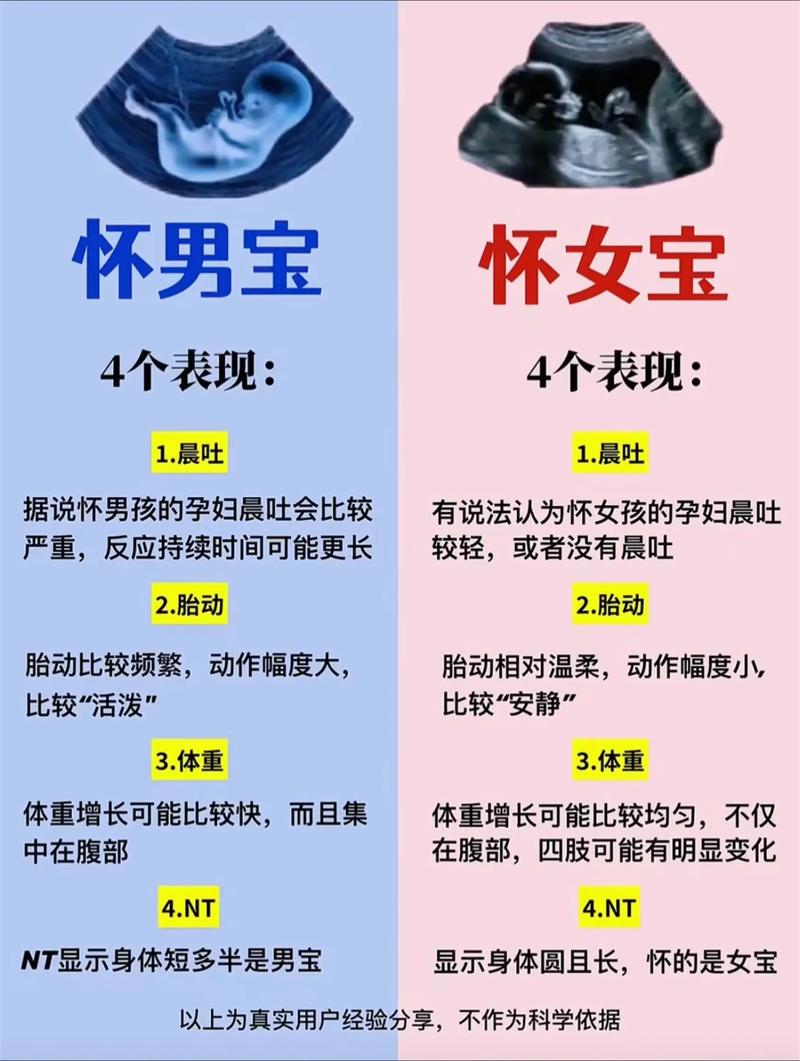 怀孕期间如何科学分辨胎儿性别？这些方法靠谱吗？-第2张图片-郑州医学网