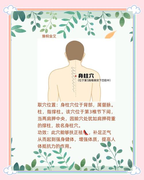 儿童身柱穴到底在背部第几椎棘突下？附精准定位图与取穴技巧-第3张图片-郑州医学网