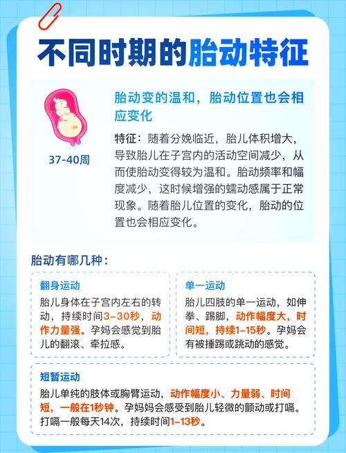 孕期胎动频繁真能预示胎儿性别是女孩吗？科学依据在哪里？-第2张图片-郑州医学网