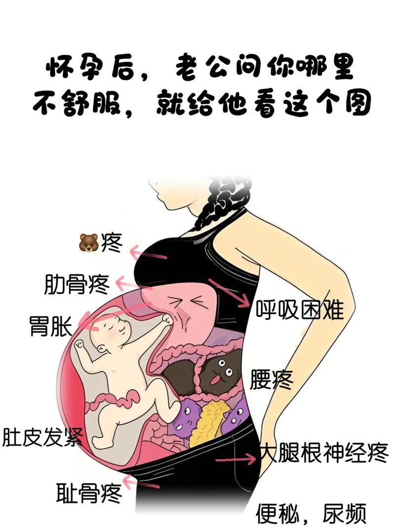 孕期劳累对胎儿的影响-第2张图片-郑州医学网