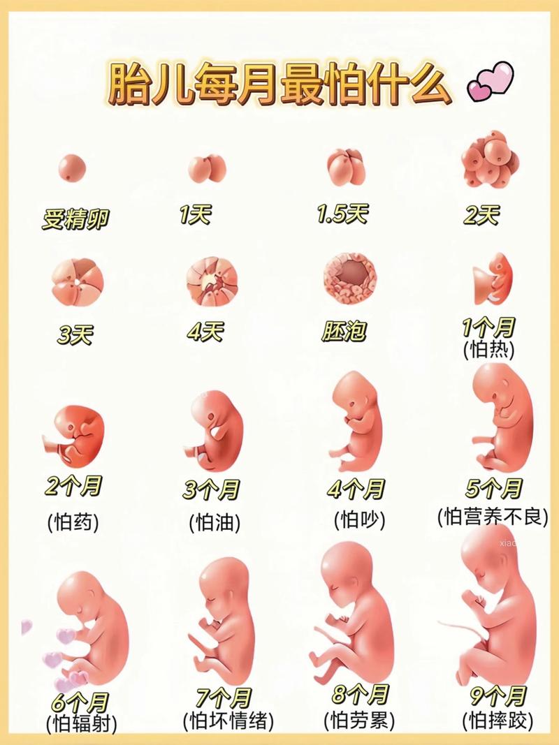 孕期没胃口会影响胎儿正常发育吗？饮食调整要注意哪些要点？-第1张图片-郑州医学网