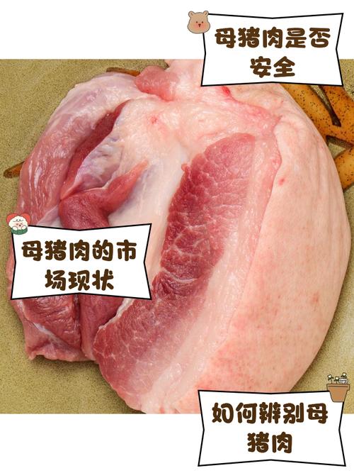 孕期误食母猪肉会对胎儿发育造成哪些潜在风险?-第1张图片-郑州医学网 孕期误食母猪肉会对胎儿发育造成哪些潜在风险?-第1张图片-郑州医学网