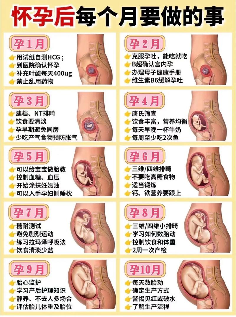 孕期最少要做几次检查-第2张图片-郑州医学网