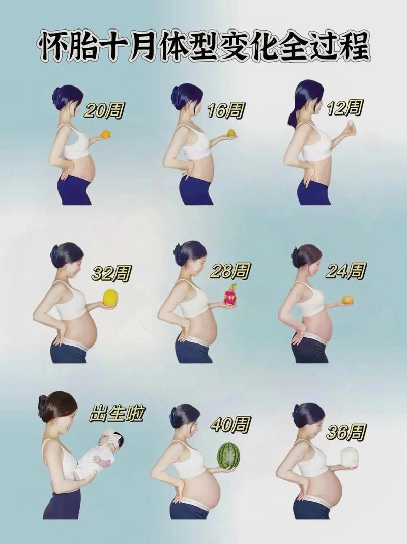 孕期胎儿发育图片大全，真实发育阶段图片如何帮助准父母科学理解胎儿成长？-第3张图片-郑州医学网