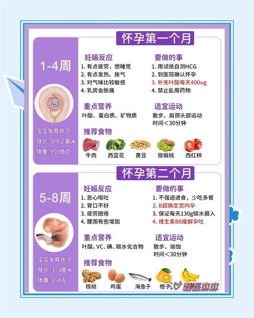 孕期宝宝怎么吸收营养-第2张图片-郑州医学网 孕期宝宝怎么吸收营养-第2张图片-郑州医学网