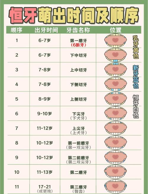 儿童纠正牙齿的最佳年龄到底是几岁?过早或过晚矫正会有哪些影响?-第1张图片-郑州医学网 儿童纠正牙齿的最佳年龄到底是几岁?过早或过晚矫正会有哪些影响?-第1张图片-郑州医学网