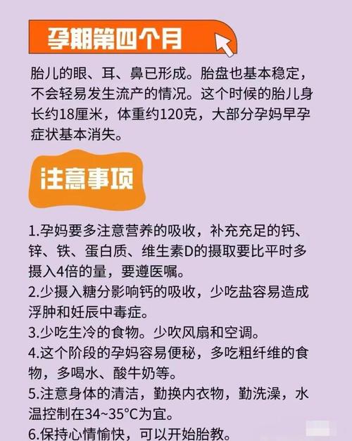 孕期4个月需要注意哪些饮食、检查及日常护理细节？-第1张图片-郑州医学网