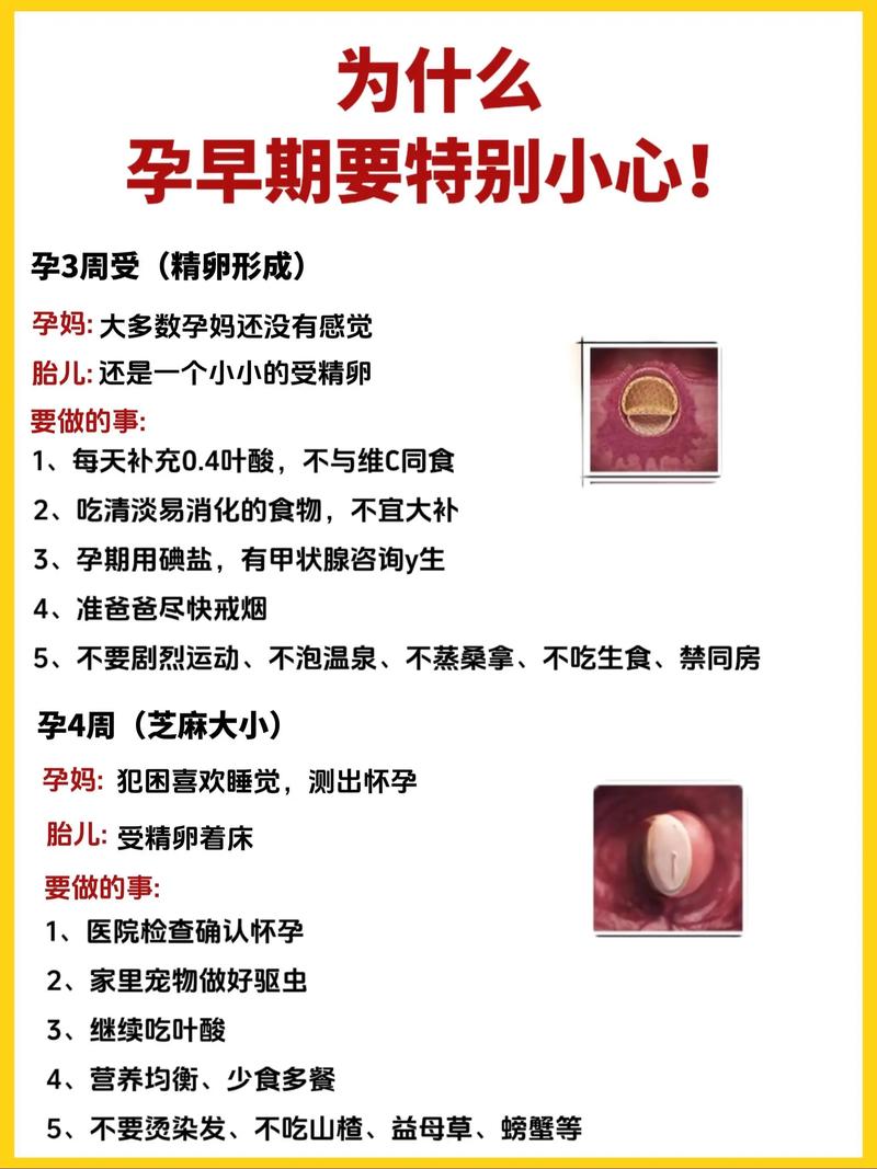 怀孕期间做点什么好呢-第2张图片-郑州医学网