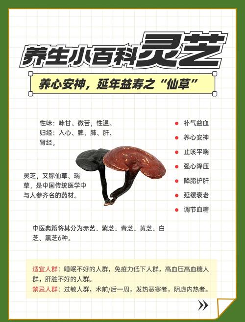 怀孕期间吃灵芝对胎儿安全吗？孕期食用灵芝有哪些潜在影响？-第2张图片-郑州医学网