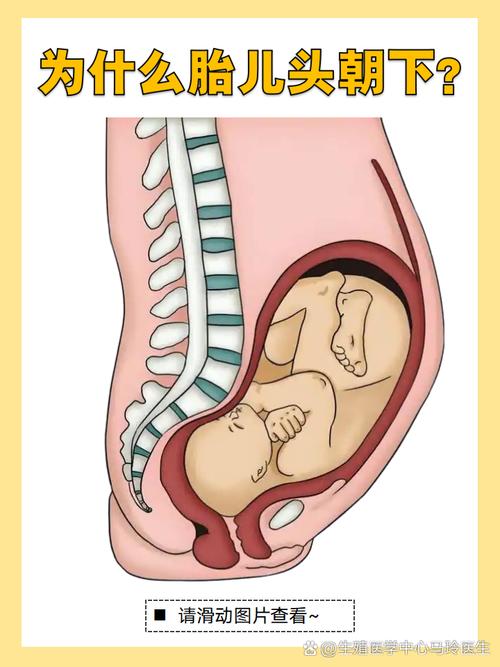 孕期胎动在右边频繁就一定是女孩吗？科学依据是什么？-第2张图片-郑州医学网