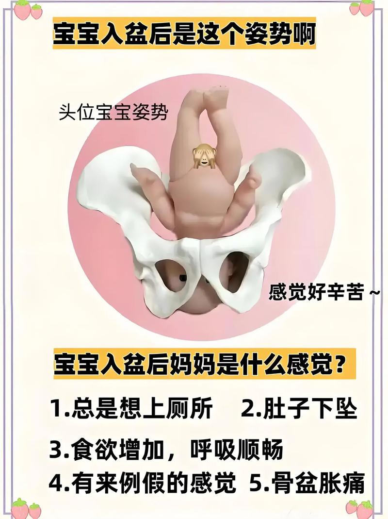 新生儿出生到底需要准备几个盆才够用?不同用途盆的数量怎么安排最合理?-第3张图片-郑州医学网 新生儿出生到底需要准备几个盆才够用?不同用途盆的数量怎么安排最合理?-第3张图片-郑州医学网