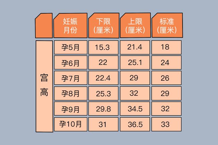孕妇孕期腹围增长标准到底是多少?不同孕周的增长范围有何科学依据?-第1张图片-郑州医学网 孕妇孕期腹围增长标准到底是多少?不同孕周的增长范围有何科学依据?-第1张图片-郑州医学网
