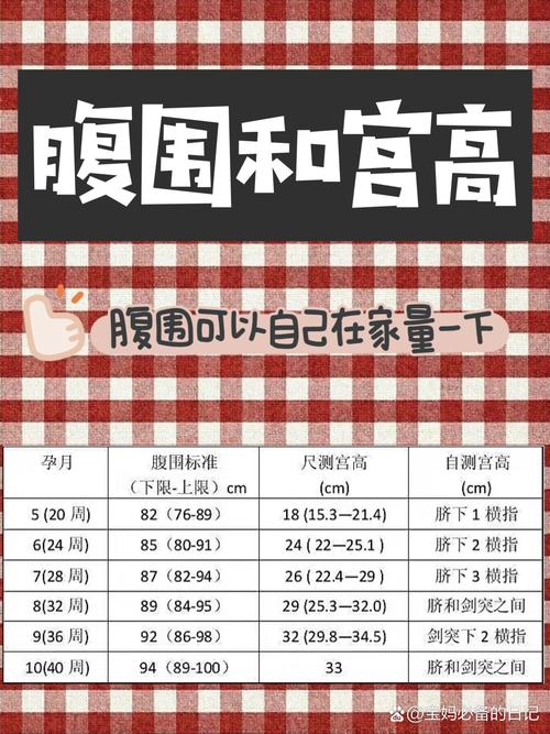 孕妇孕期腹围增长标准到底是多少?不同孕周的增长范围有何科学依据?-第2张图片-郑州医学网 孕妇孕期腹围增长标准到底是多少?不同孕周的增长范围有何科学依据?-第2张图片-郑州医学网
