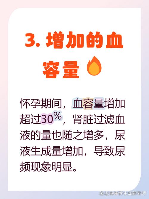 孕期尿频从什么时候开始？不同孕周尿频变化规律是怎样的？-第3张图片-郑州医学网