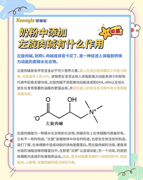 新生儿奶粉添加左旋肉碱，究竟是营养升级还是潜在风险？-第1张图片-郑州医学网