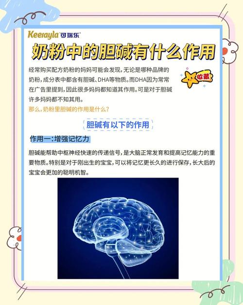 新生儿奶粉添加左旋肉碱，究竟是营养升级还是潜在风险？-第2张图片-郑州医学网