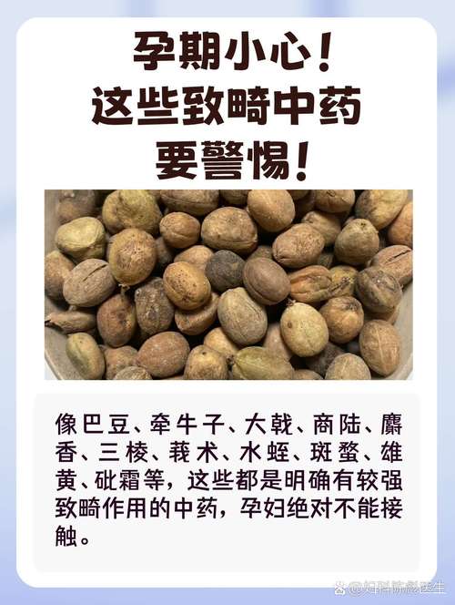 怀孕期间哪些中药绝对不能碰？孕期用药安全红线有哪些？-第3张图片-郑州医学网