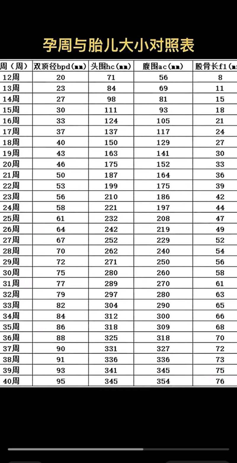 孕期胎儿大小对照表真的准确吗？不同孕周胎儿大小差异大正常吗？-第1张图片-郑州医学网