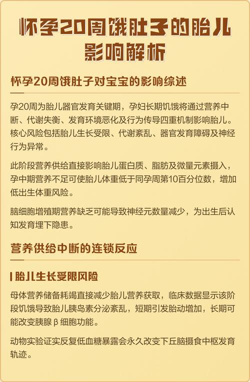 孕期频繁饥饿真的会伤及胎儿发育吗？孕期饿肚子对胎儿有哪些潜在影响？-第1张图片-郑州医学网
