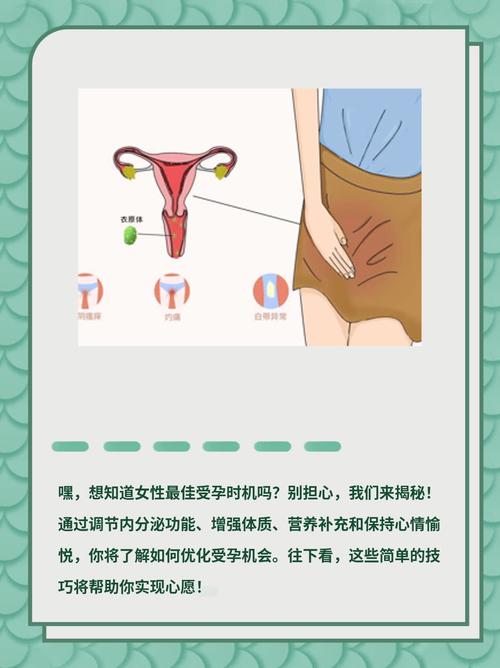 女人受孕期到底在什么时候？精准计算受孕时间的关键因素有哪些？-第2张图片-郑州医学网