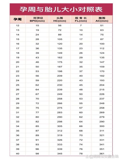 孕期双顶径股骨长标准-第3张图片-郑州医学网