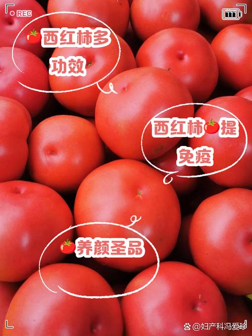 孕期吃生西红柿安全吗？会对胎儿或孕妇健康有潜在风险吗？-第3张图片-郑州医学网