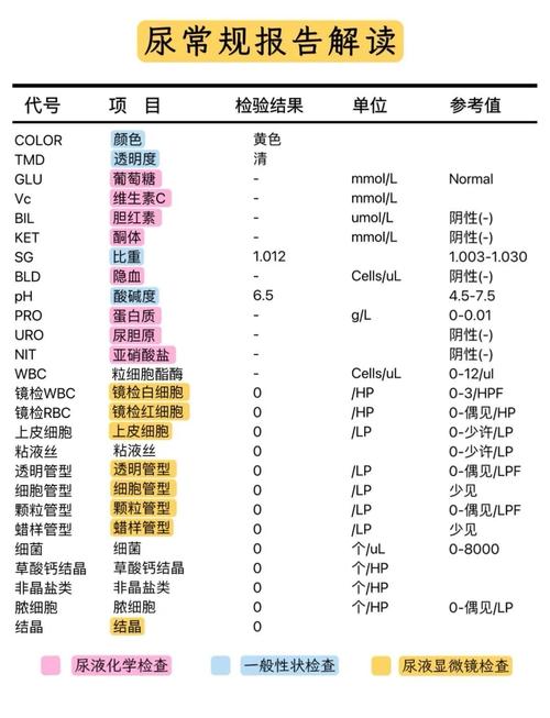 孕期尿常规检查出什么-第1张图片-郑州医学网