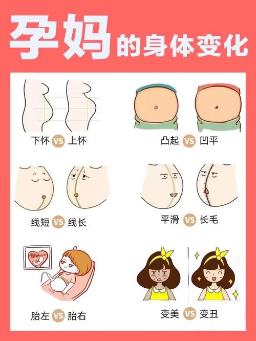 怀孕期间身体和心理会经历哪些奇妙又陌生的变化呢？-第2张图片-郑州医学网