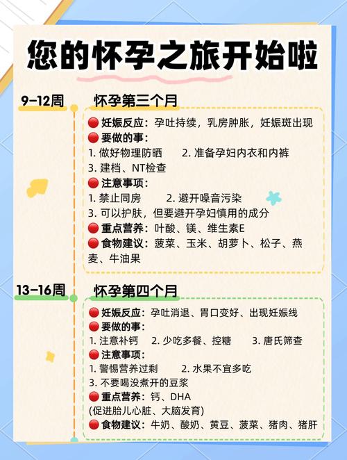 备孕期间需注意哪些事项？饮食、作息、检查、心态有何关键要点？-第1张图片-郑州医学网