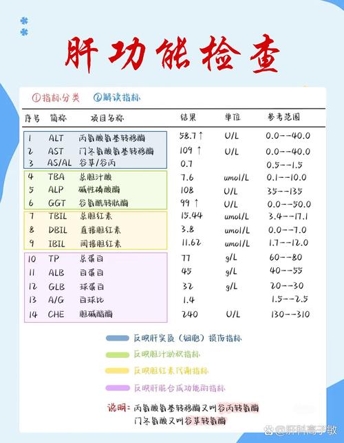 孕期肝功能检查具体是查哪些指标？对母婴健康有何影响？异常结果意味着什么？-第1张图片-郑州医学网