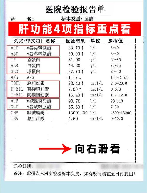 孕期肝功能检查具体是查哪些指标？对母婴健康有何影响？异常结果意味着什么？-第2张图片-郑州医学网