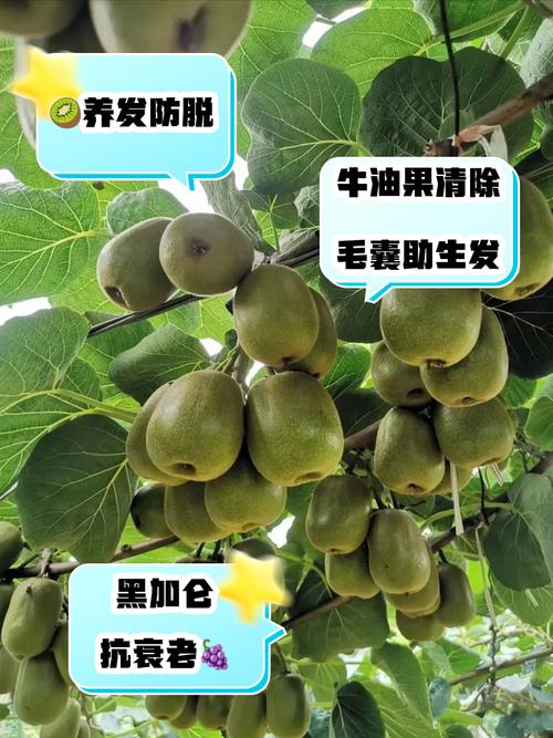 怀孕期间吃什么能促进头发生长？孕期饮食如何让头发更浓密？-第3张图片-郑州医学网