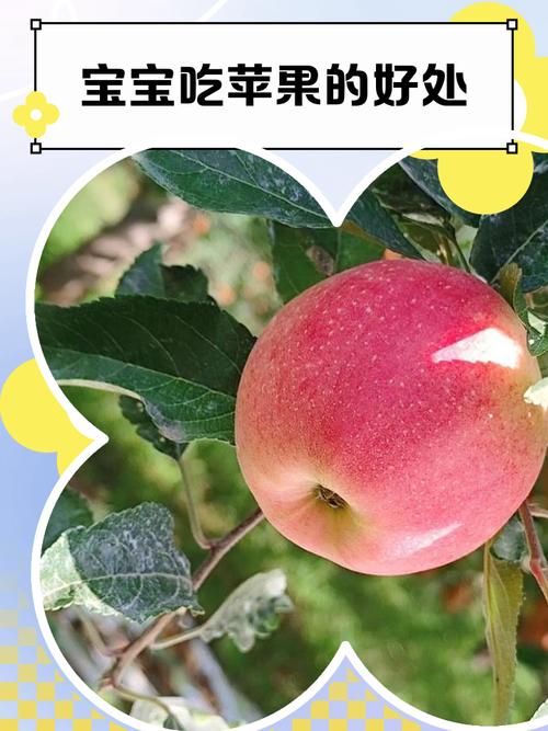儿童吃苹果究竟有哪些具体好处？不同年龄段的孩子吃苹果有差异吗？-第3张图片-郑州医学网