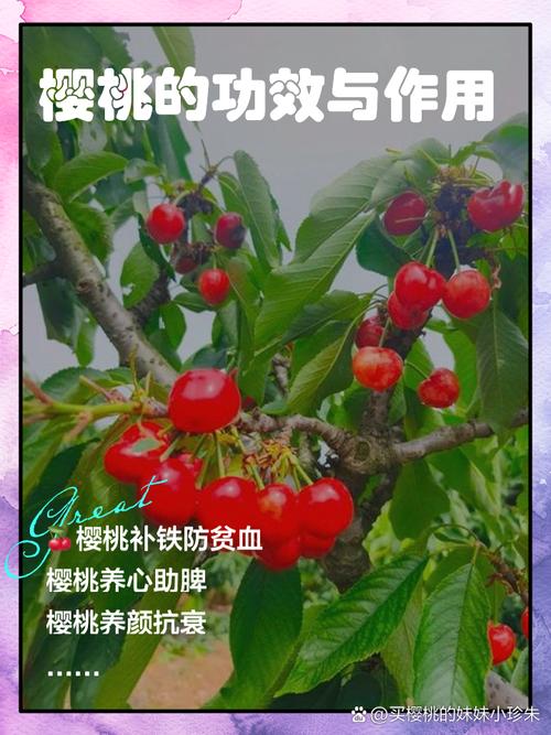 儿童吃樱桃有什么好处？这些营养价值对孩子成长发育有多重要？-第2张图片-郑州医学网