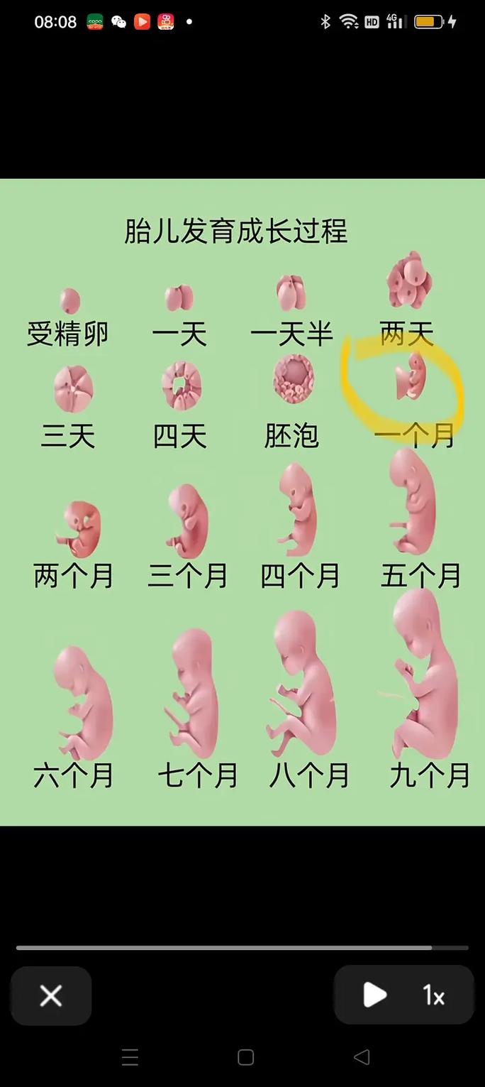 孕期胎儿头偏大一个月是异常发育信号吗？需要干预吗？-第2张图片-郑州医学网