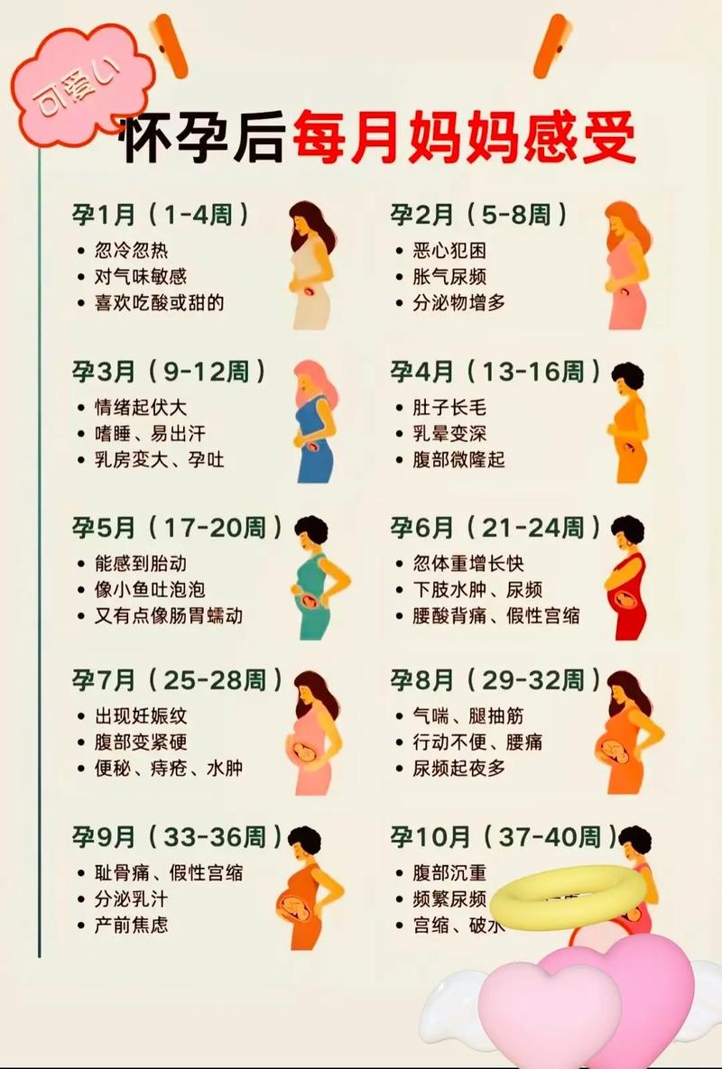 孕期最后一个月到底是孕37周还是孕40周？预产期临近该如何准确计算时间？-第2张图片-郑州医学网