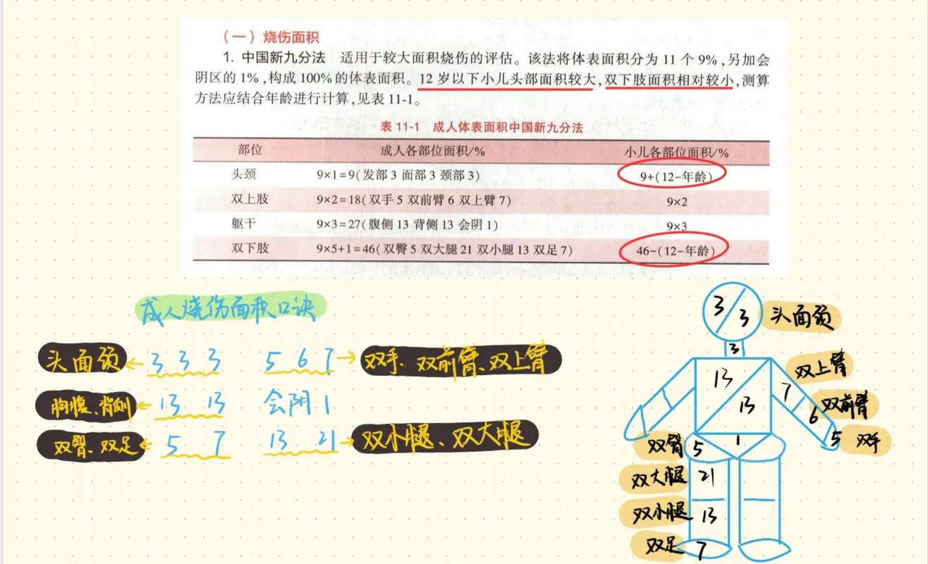 儿童烧伤面积计算方法有哪些不同标准？成人公式与儿童专用公式差异在哪里？-第1张图片-郑州医学网
