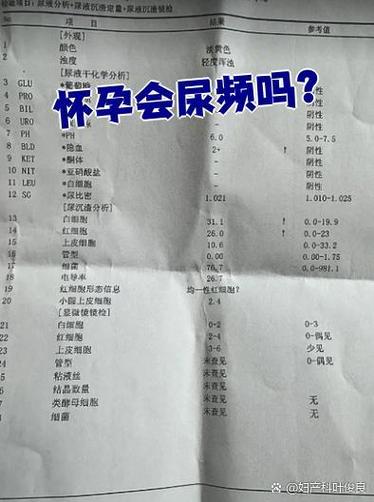 孕期尿频却每次只尿一点点，是正常现象还是身体在报警？-第1张图片-郑州医学网